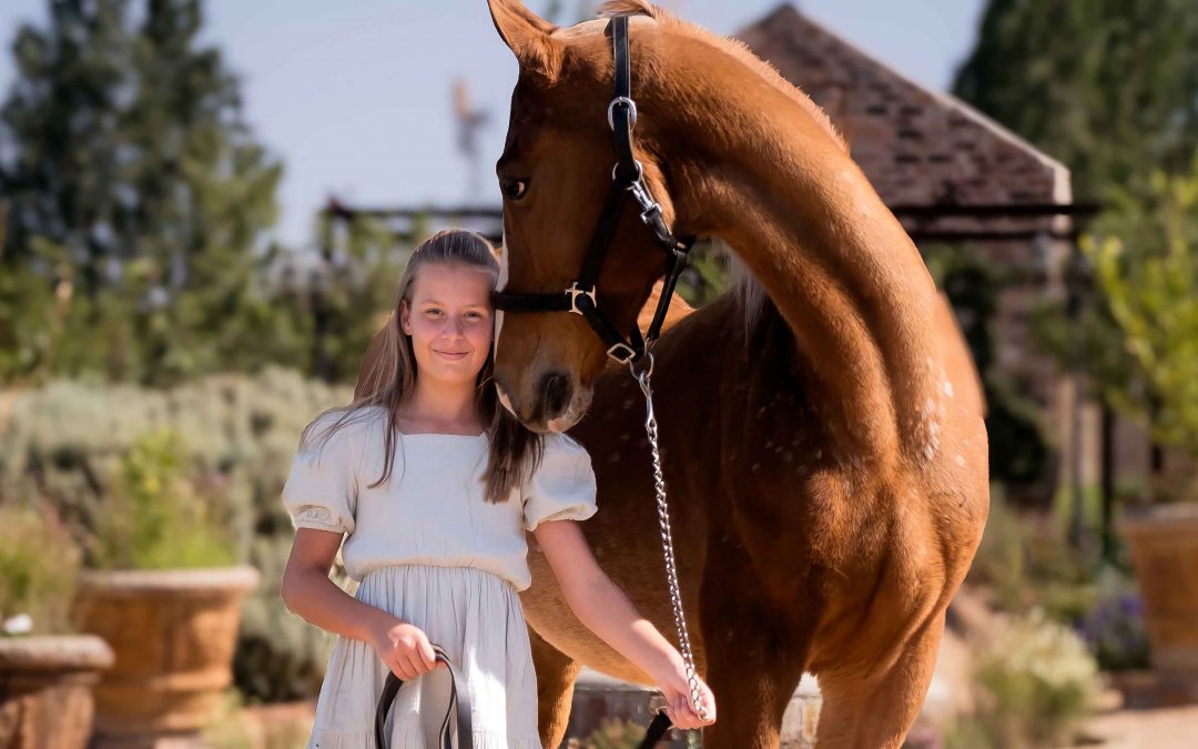 Searching for a Horse Photographer Near Me? Discover the Art of Equine Photography with Adri Krige