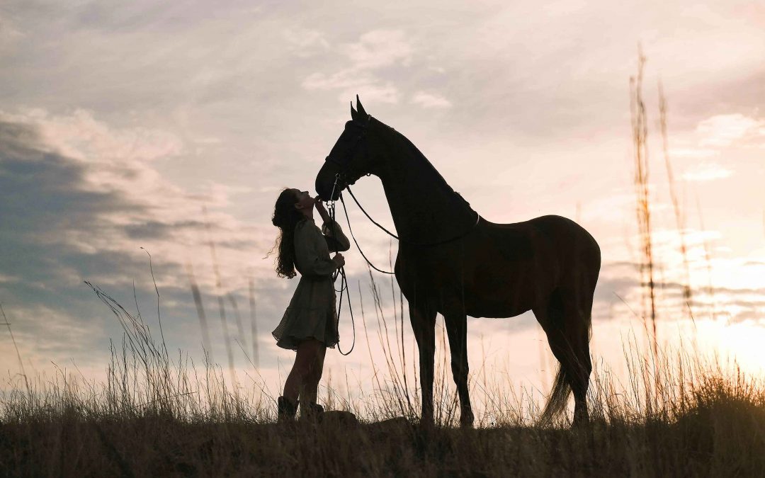 A Journey of Gratitude: My Gauteng Trip as an Equestrian Photographer