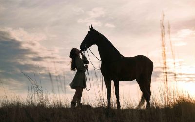 A Journey of Gratitude: My Gauteng Trip as an Equestrian Photographer