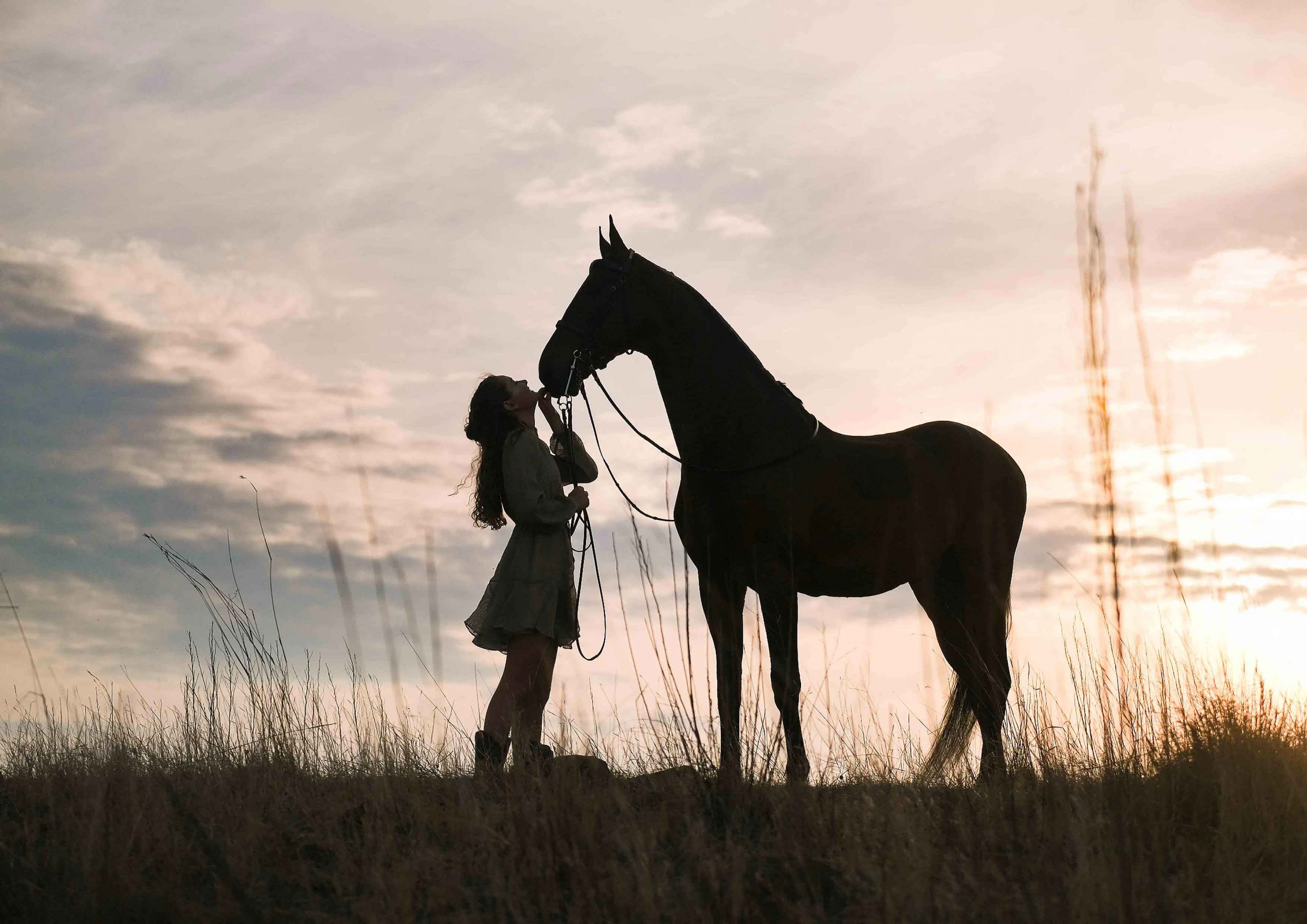 Silhouette of a woman kissing the nose of a horse against a dramatic sunset sky
