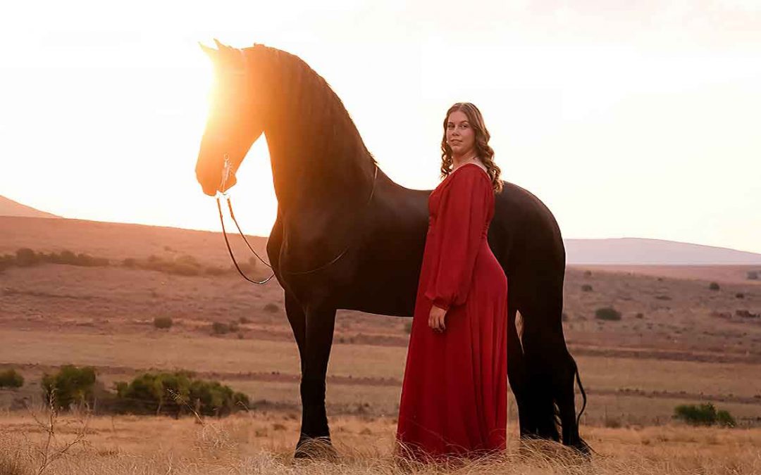 The Magic of Artistic Horse Photography — Where Beautiful Light Comes to Life