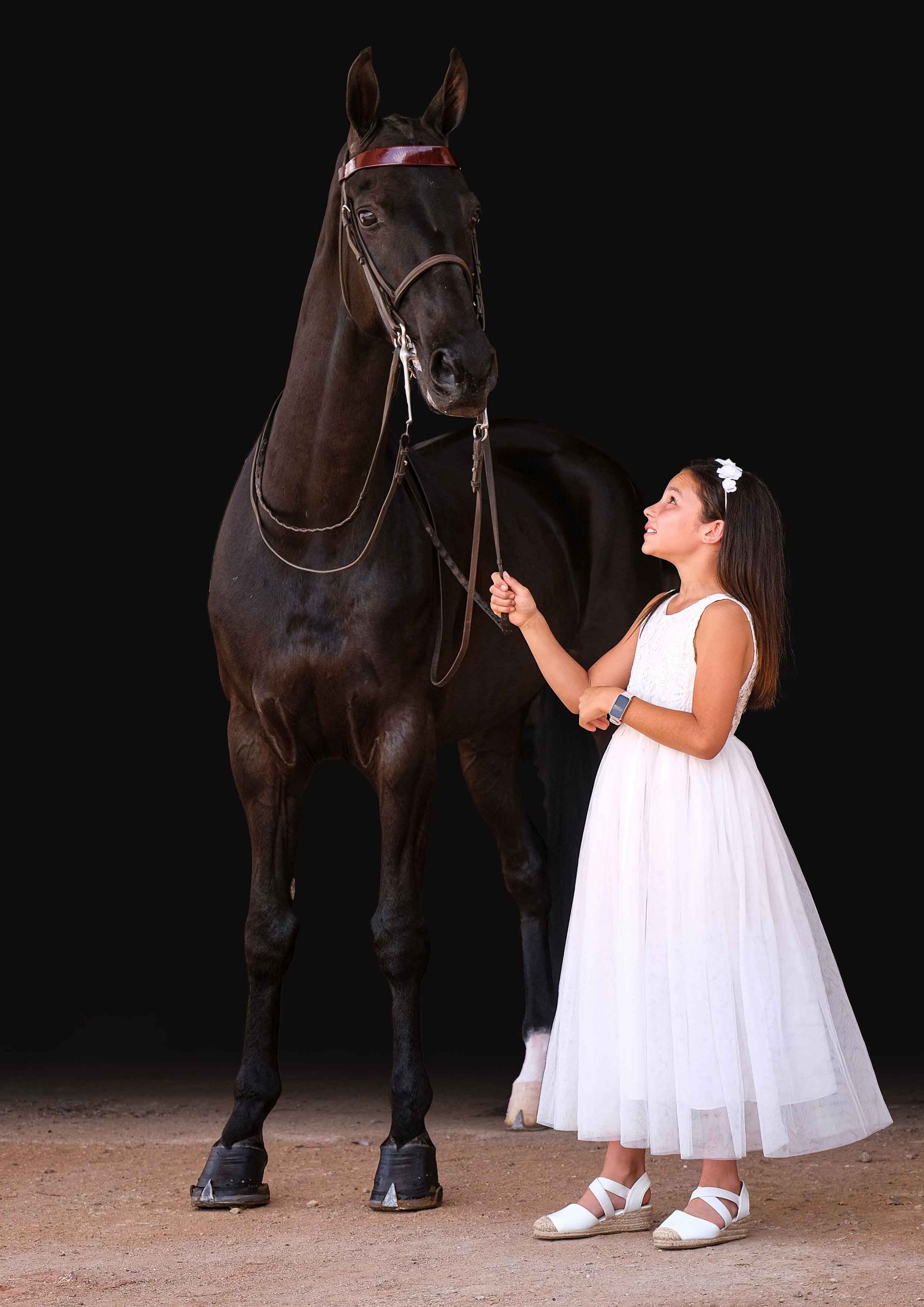 Young girl in a white dress holding the lead rope of a black horse against a dark studio background