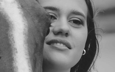 Capturing the Spirit of Equines: A Journey into Horse Photography