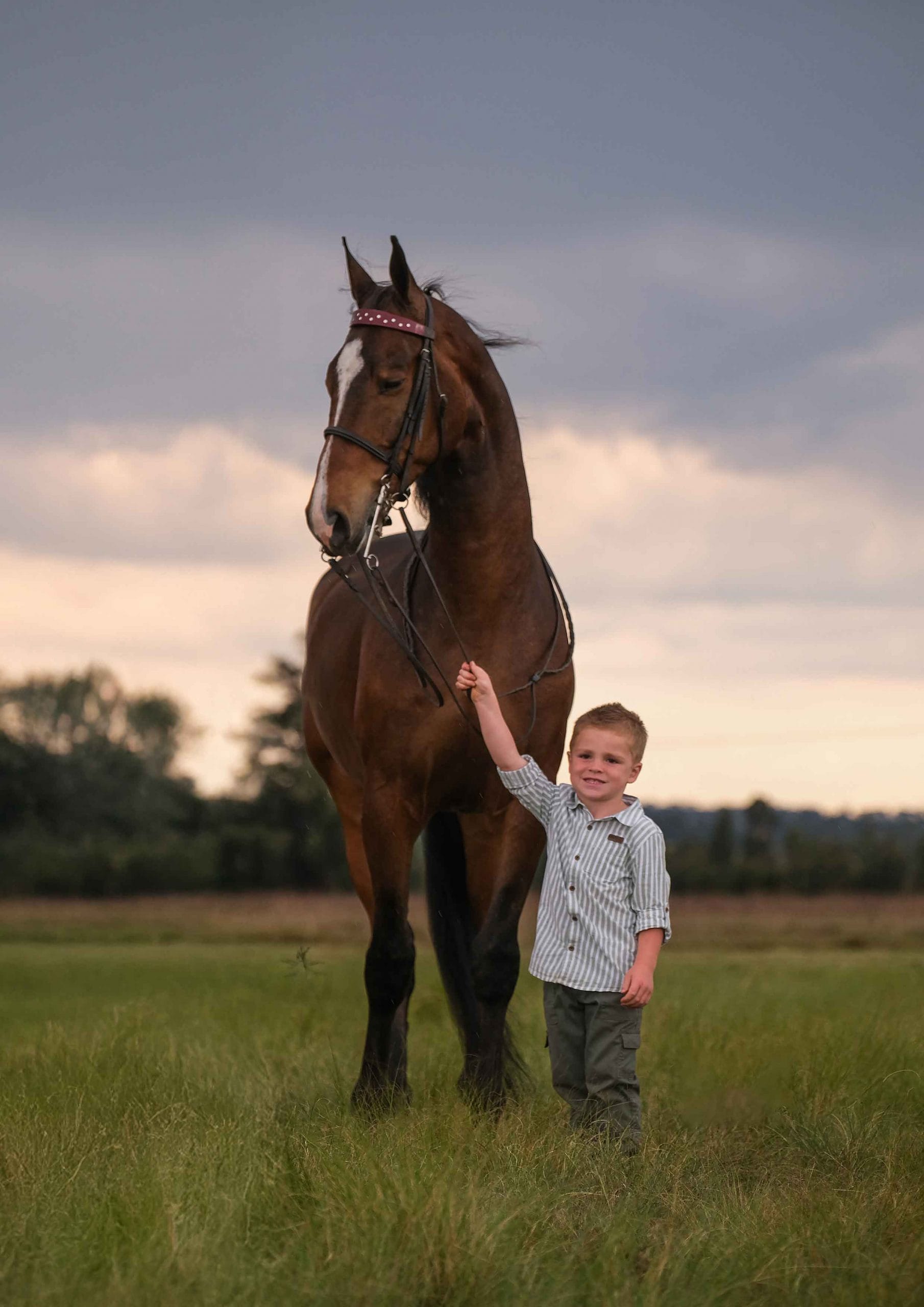 Small boy in a striped shirt reaching up to touch the nose of a tall bay horse at dusk