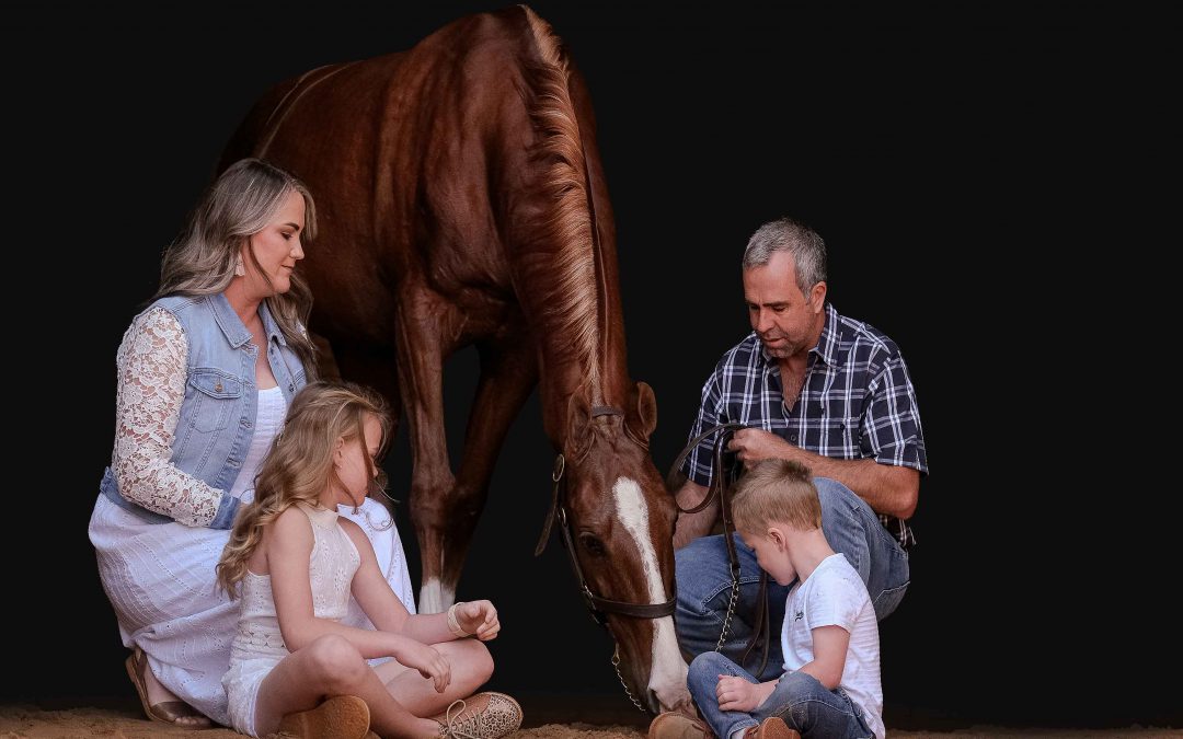 Equine Photography South Africa — Timeless Images with Adri Krige Photography