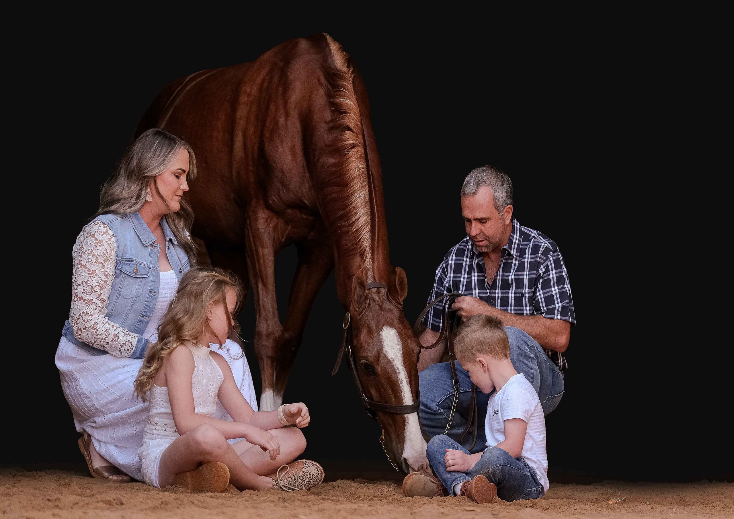 Family of four, mother, father and two children, gathered around a chestnut horse in a dark studio portrait