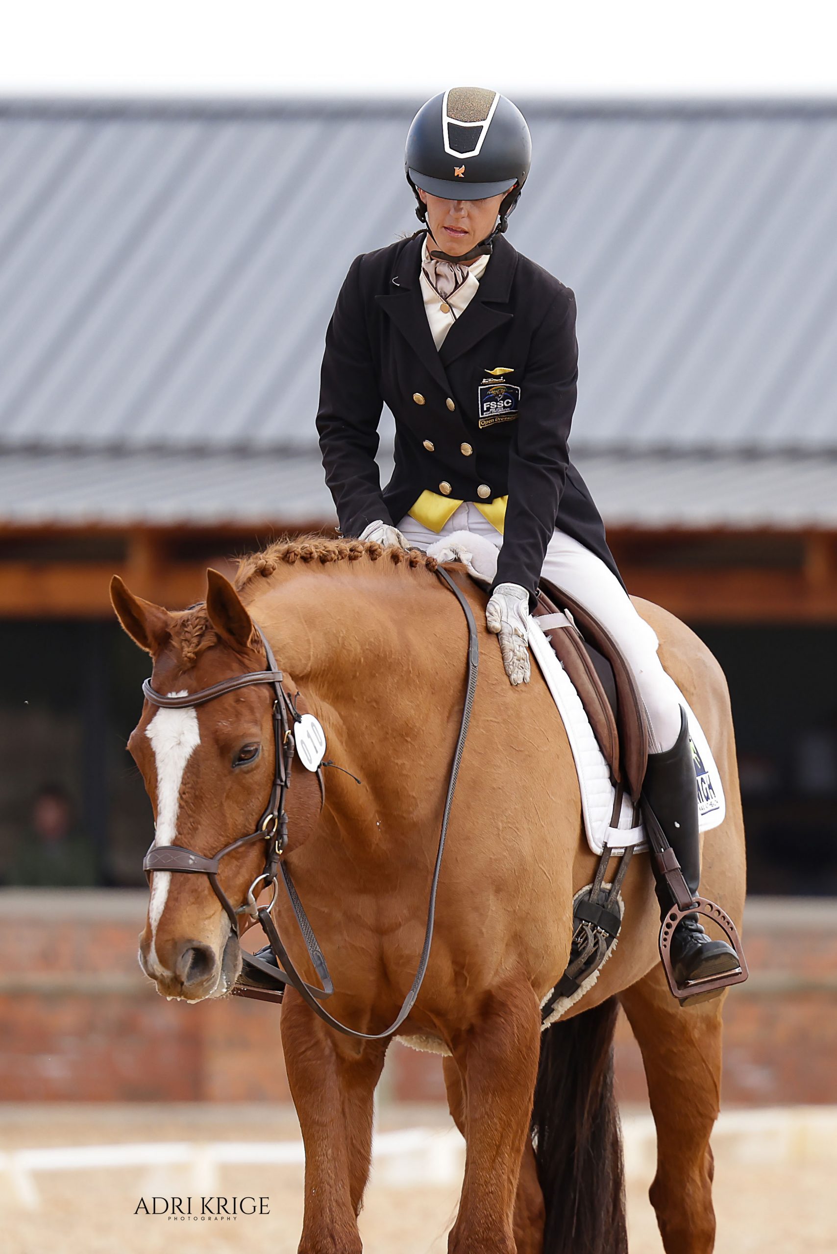 Dressage rider in formal black jacket and helmet on a chestnut horse in a competition arena