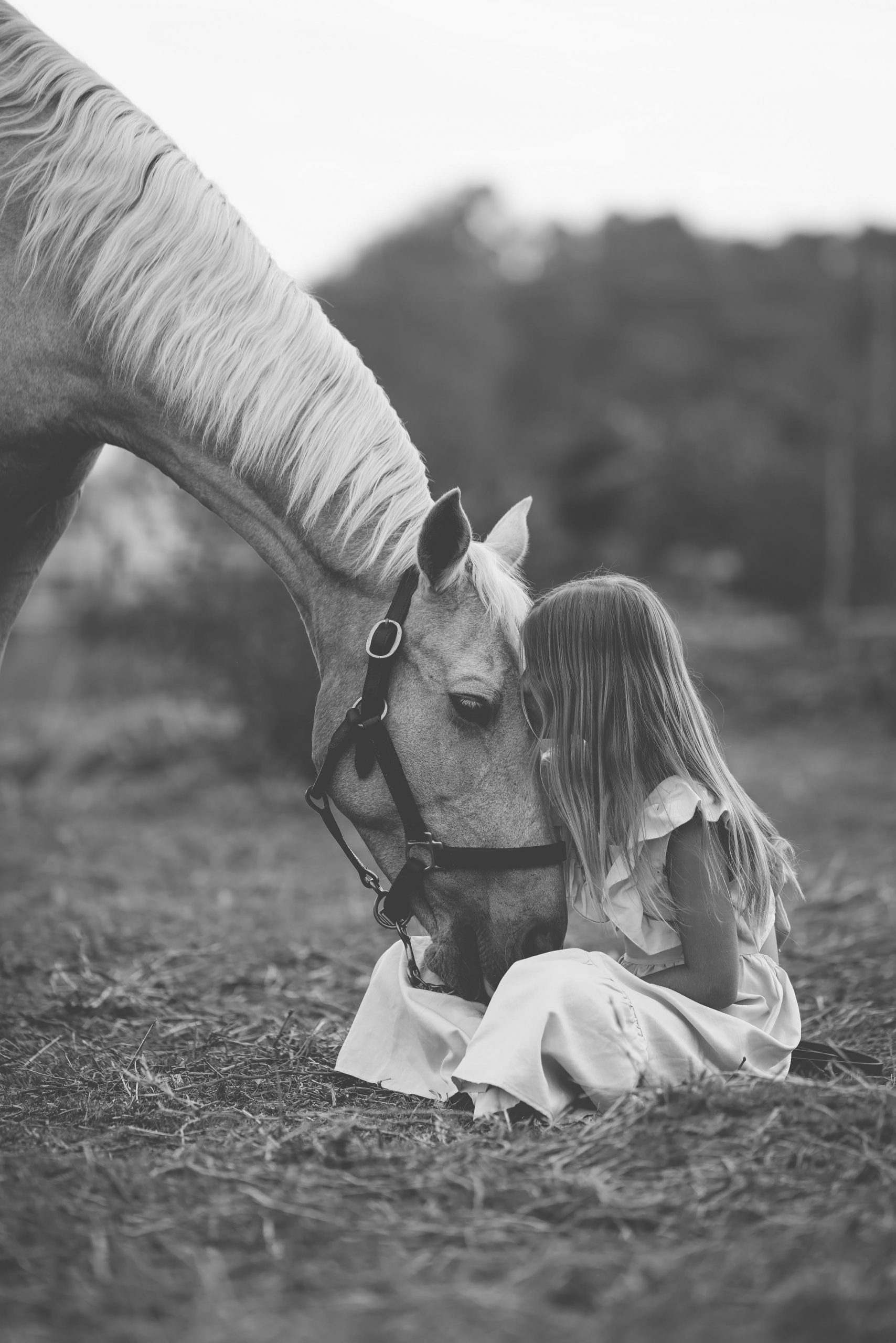 Fine-art equine portrait by Adri Krige Photography