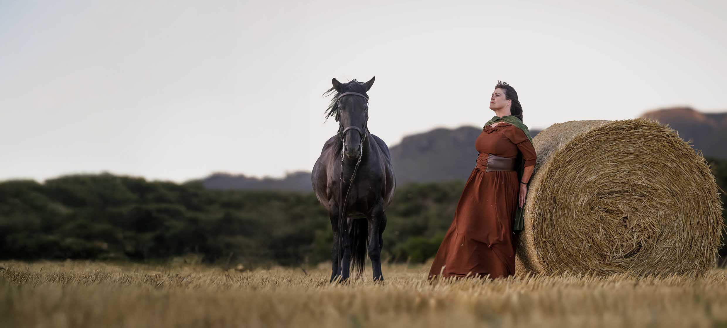 Equine photography by Adri Krige