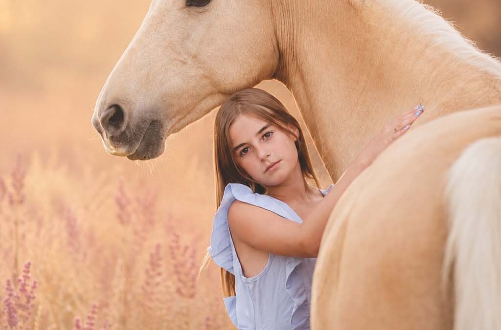 Horse Photography Prices South Africa | 2026 Guide