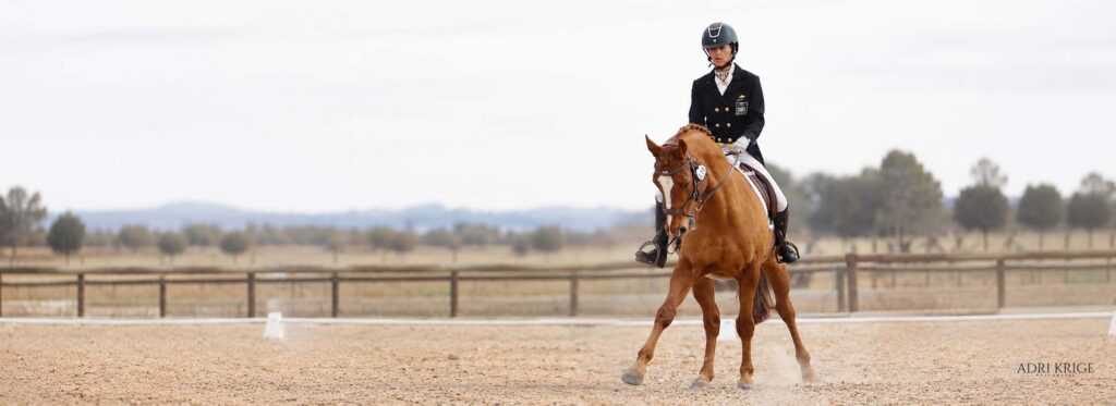 A dressage rider competing in an outdoor arena, one of many locations used for equine photography