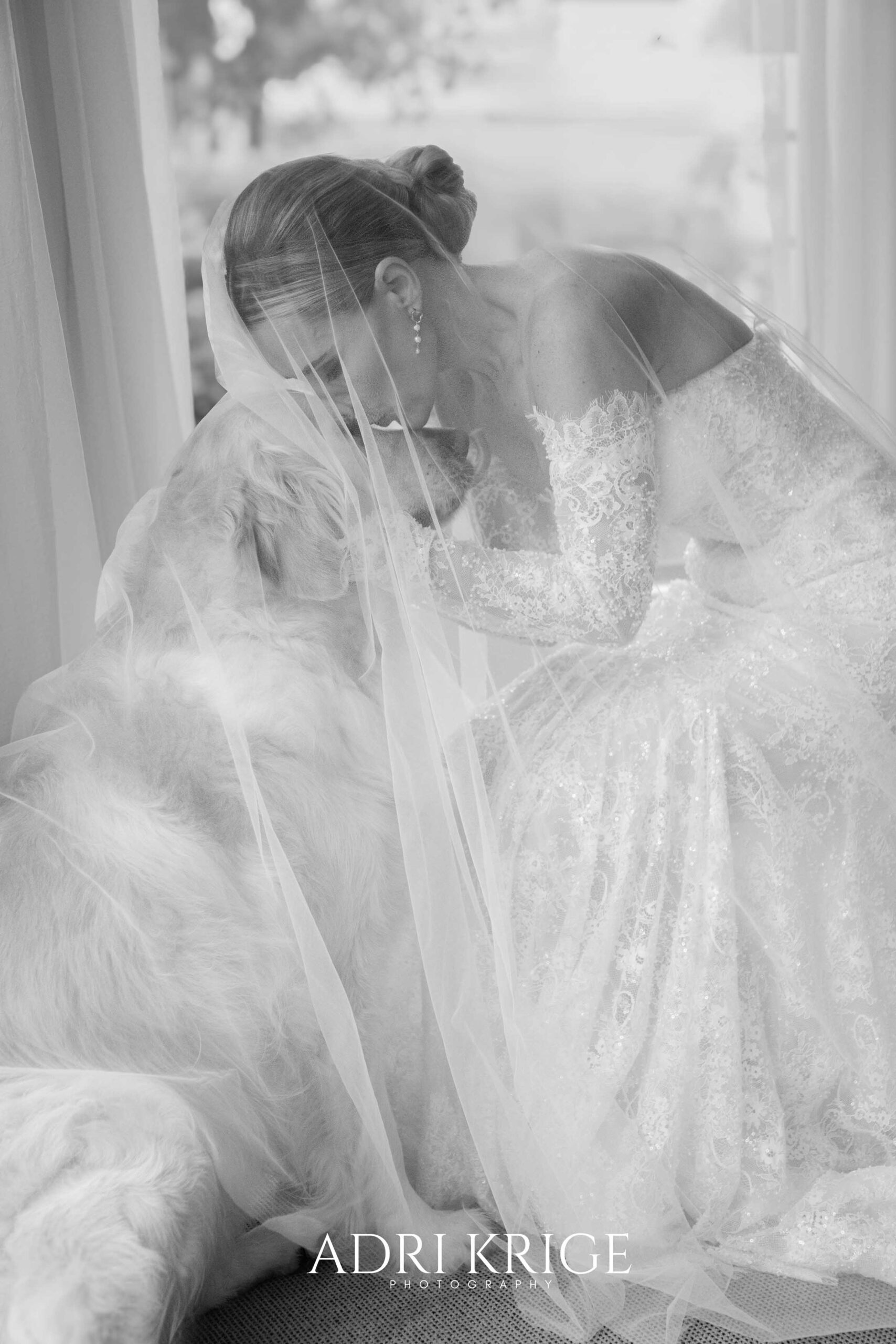 Black and white photo of a bride in an off-the-shoulder lace gown resting her head against her golden retriever, both wrapped beneath her sheer veil by a window, wedding photography by Adri Krige, Eastern Cape wedding photographer